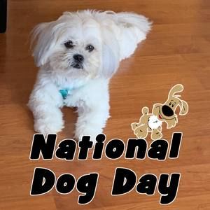 Meet your Posher, Cathy